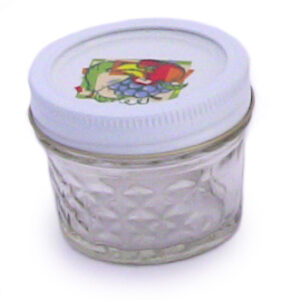 Personal Blender 4 Einweckgläser 120 ml