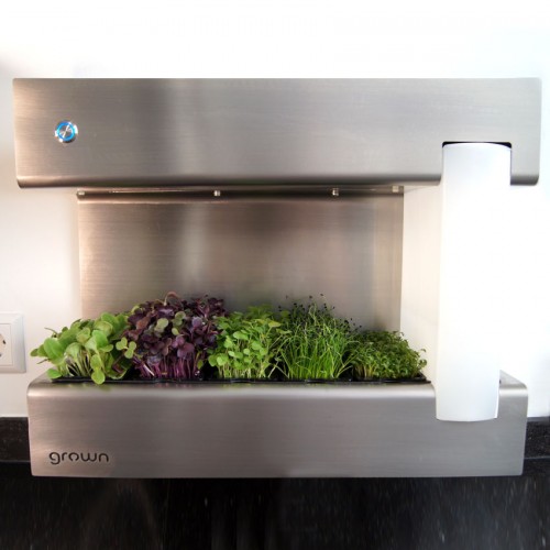 CressToday Keimgerät Edelstahl CressToday Keimgerät Edelstahl