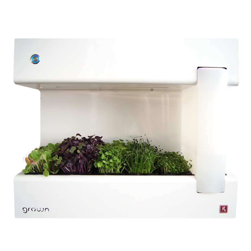 CressToday Keimgerät CressToday Keimgerät