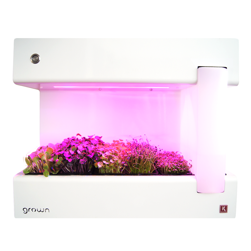 CressToday Keimgerät CressToday Keimgerät