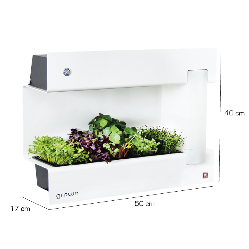 CressToday Keimgerät Maße CressToday Keimgerät Maße