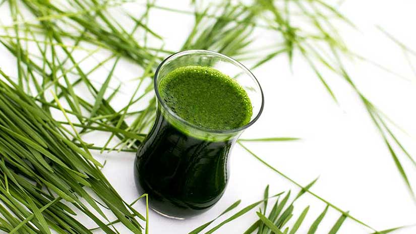 Weizengrassaft entsaften