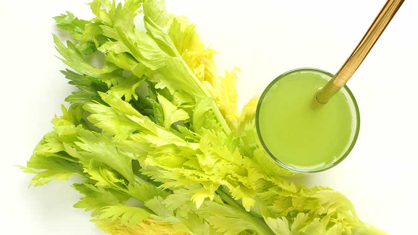 Green Star Elite GSE 5000 Entsafter