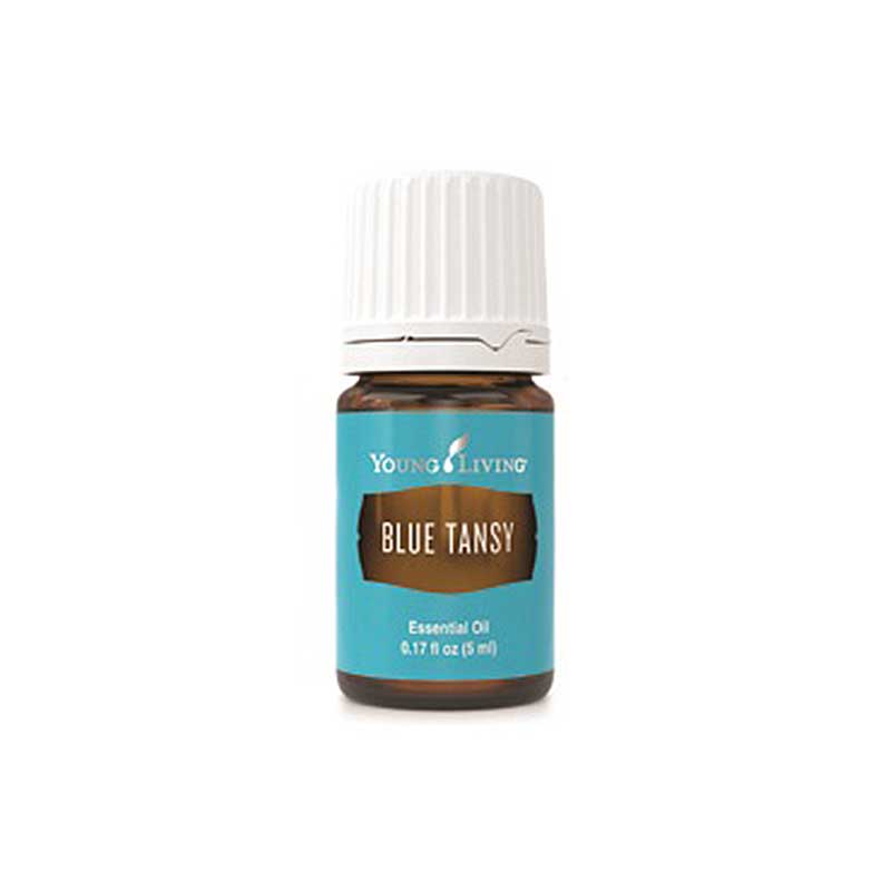 Blauer Rainfarn Ätherisches Öl Young Living 5 ml Blauer Rainfarn Ätherisches Öl Young Living 5 ml