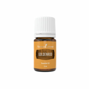 Goldrute Young living 5ml