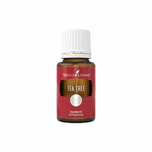 Teebaumöl Young Living 15ml