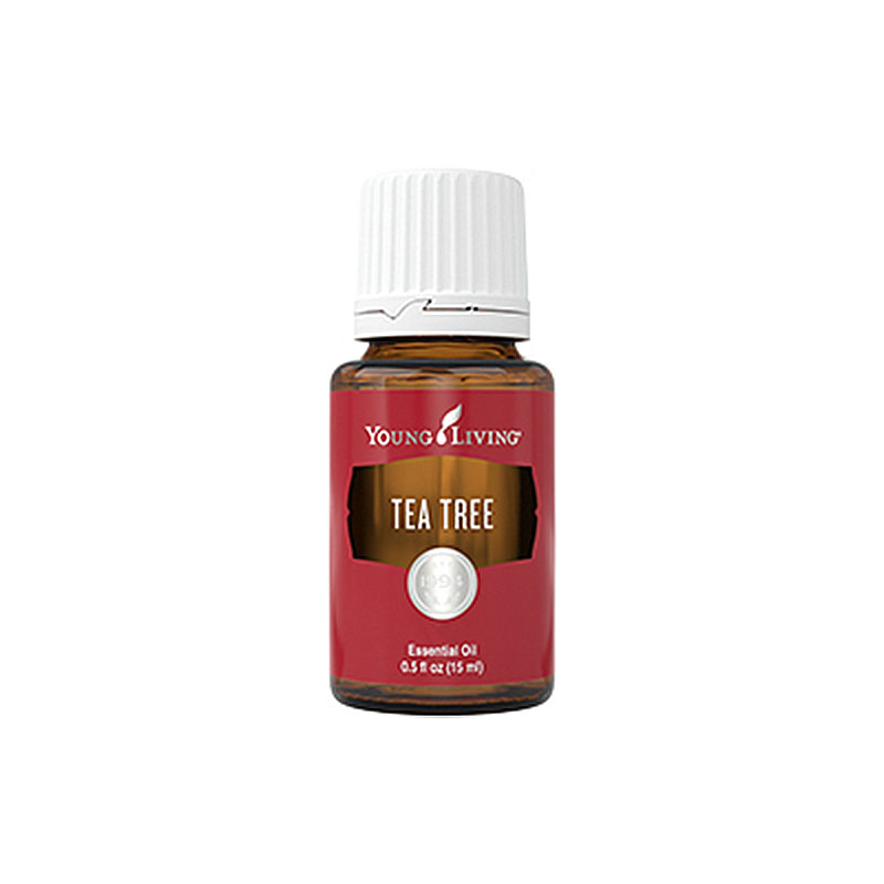 teebaum-young-living-15ml