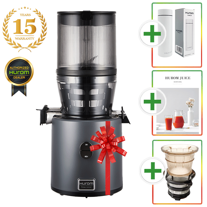 Hurom H330P Entsafter + Eissieb Modell 2026