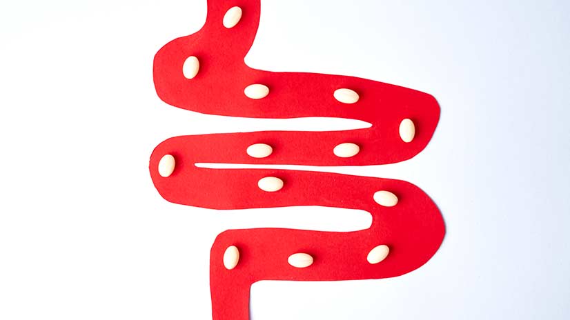 Probiotika und Präbiotika