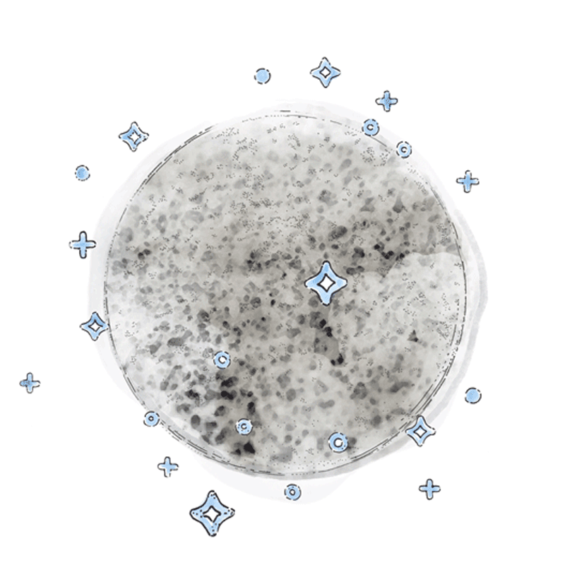 3Quellen-Modell-S-Wasseraktivierung_GIF2